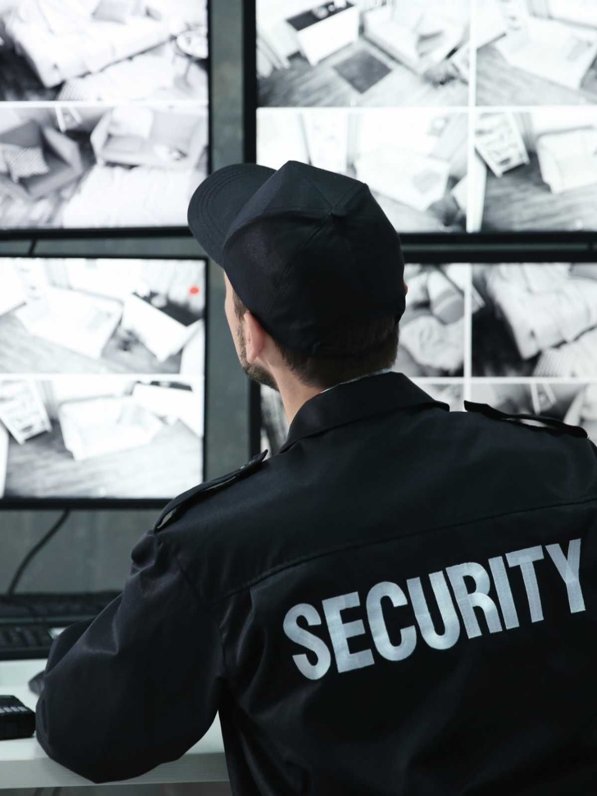 Seguridad privada